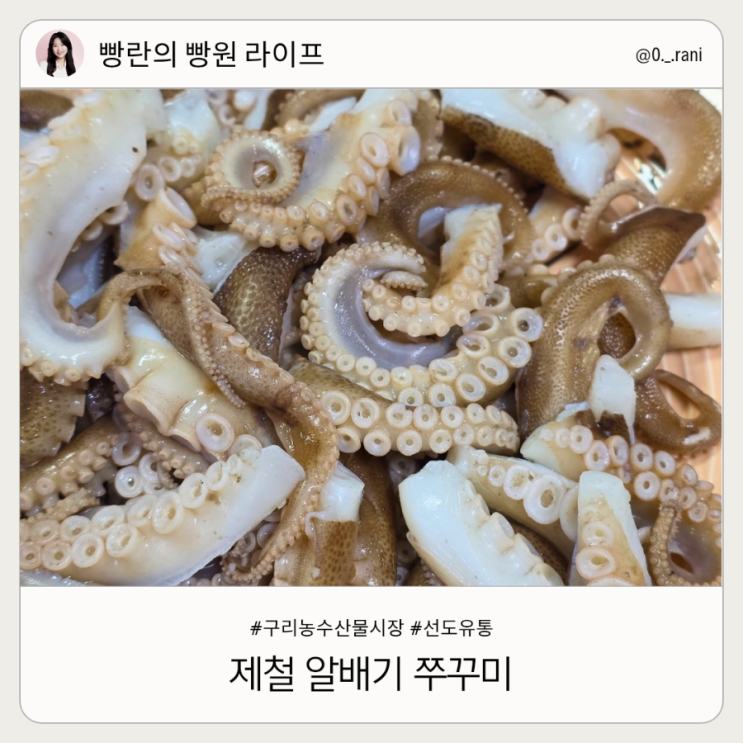  구리농수산물시장 알배기 쭈꾸미 제철 선도유통