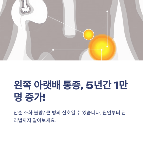  왼쪽 아랫배 통증 5년 내 질환 1만명 증가