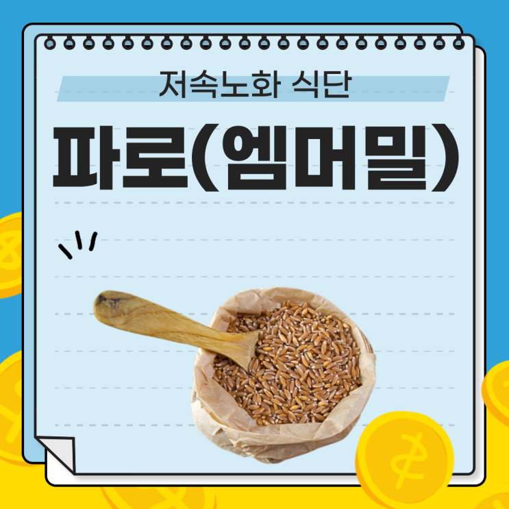  파로(엠머밀)로 만드는 건강한 저속노화 식단: 혈당조절과 항노화 효과 비법