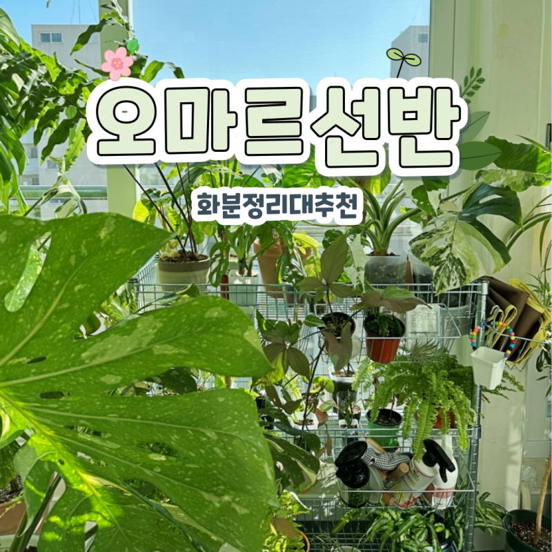 화분정리대 이케아 오마르 선반 유닛으로 베란다 식물 정리하기