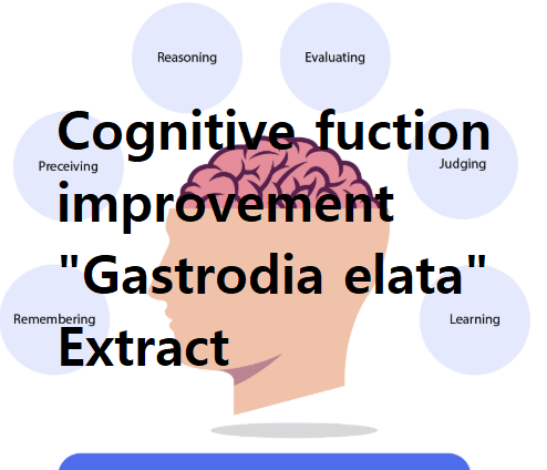  Gastrodia elata Extract, Congitive function improvement