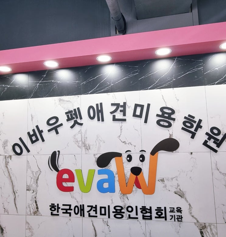  창원 애견미용학원 속성 교육으로 애견미용사가 될까요?