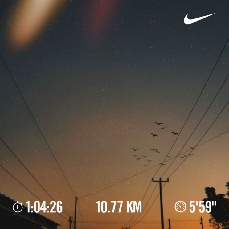 매일 10km 러닝 챌린지 1290일 차