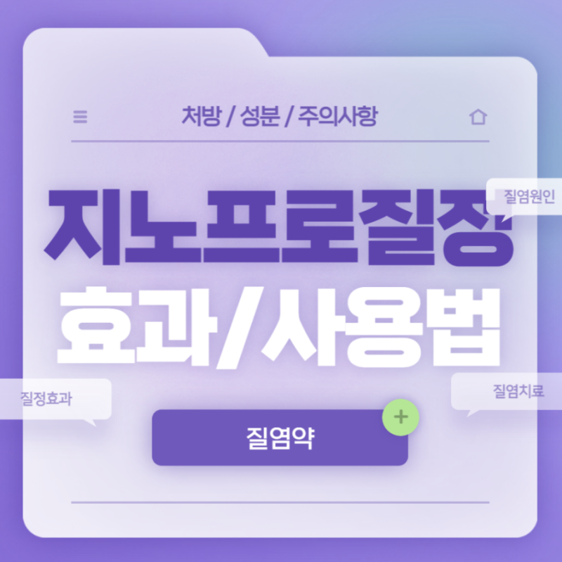 질염약 지노프로질정 효과 사용법 넣는방법 부작용 알아보기