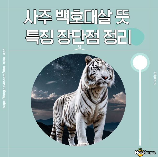  사주 백호대살 뜻 무속인도 조심한다던데 특징 장단점 정리