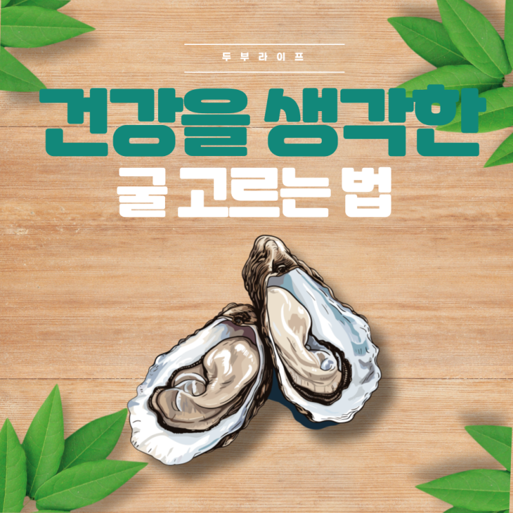  건강을 생각한 굴 고르는 법 (생굴, 벚굴, 통영, 양식굴, 가열섭취용, 아연, 효능, 부작용, 노로바이러스, 피부미용, 보관방법 )