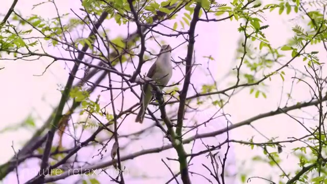  학점은행제 전문학사 , 학점은행제 학사학위 온라인 과정만으로 성공한 팁