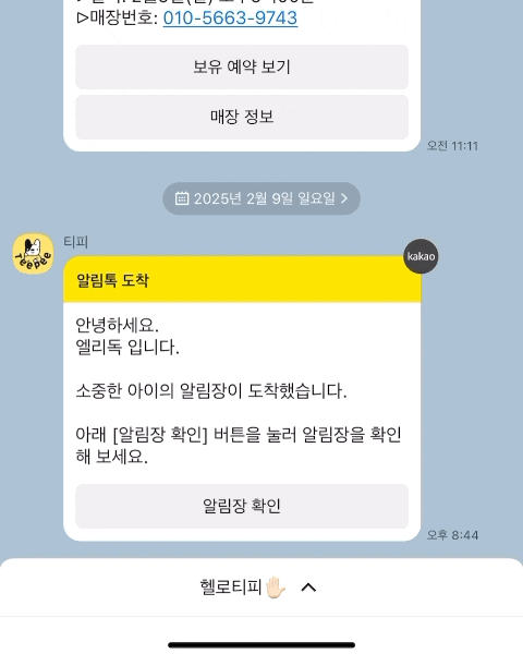  [부산 용호동 애견미용] 엘리독: 푸들 클리핑+곰돌이컷