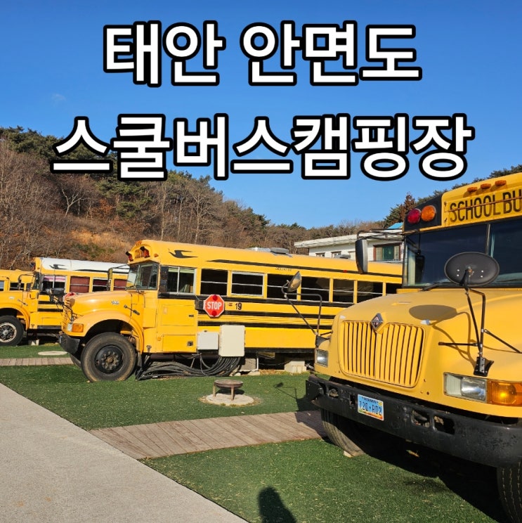  태안 안면도 스쿨버스캠핑장 놀거리와 힐링 모두 잡은 키즈캠핑