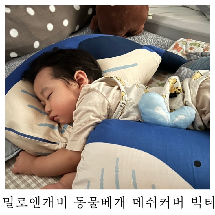  [육아템리뷰]밀로앤개비 동물베개 메쉬커버 빅터 후기