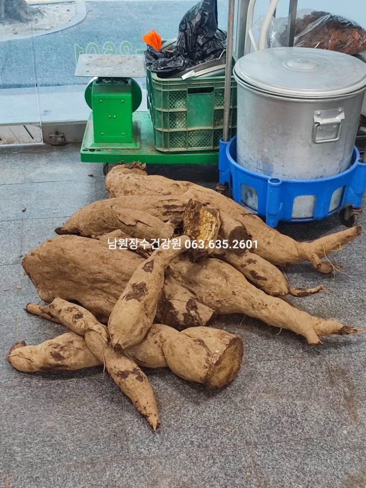  겨울 칡 240kg 생칡즙으로 정성껏 만들었어요 남원 장수건강원