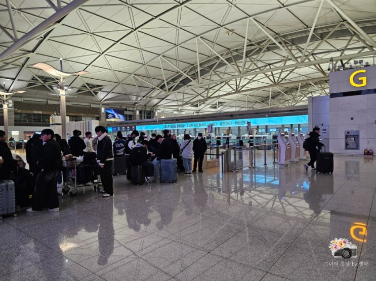  인천공항 셀프수하물 셀프백드랍 위치 오픈 시간