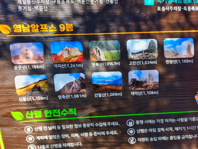 사진 3