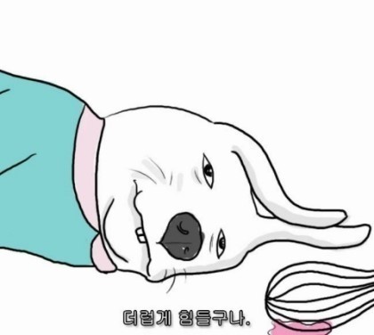  마이리얼트립 항공권 변경/환불 후기