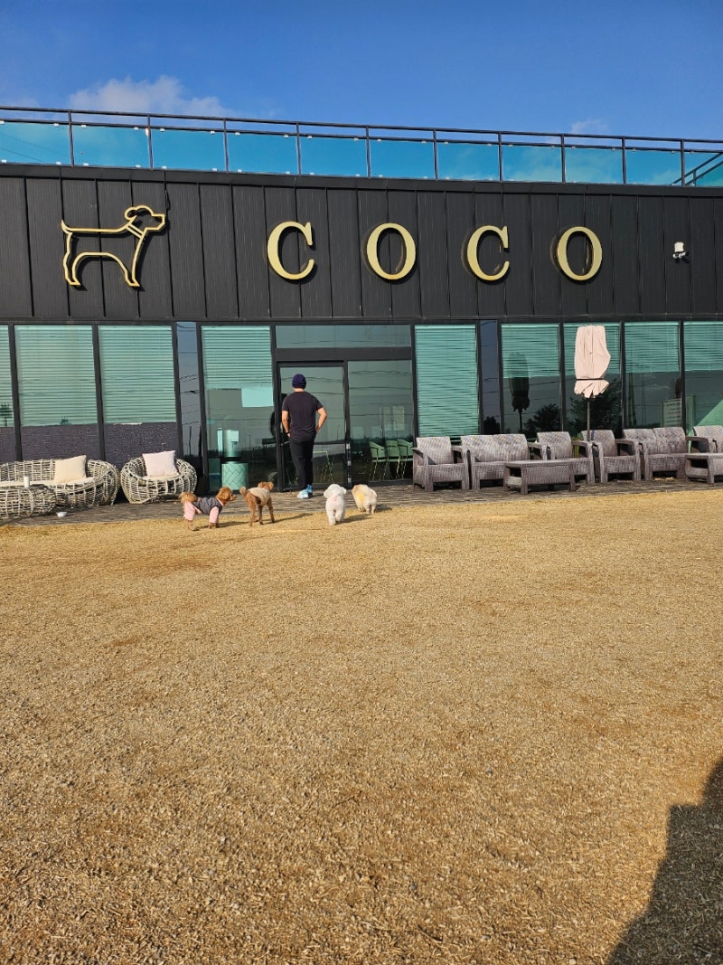 사진 2