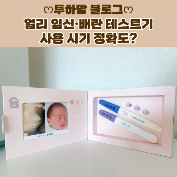  [임신테스트기] 얼리 임신 테스트기 사용 시기 정확도? (꿀팁, 추천)