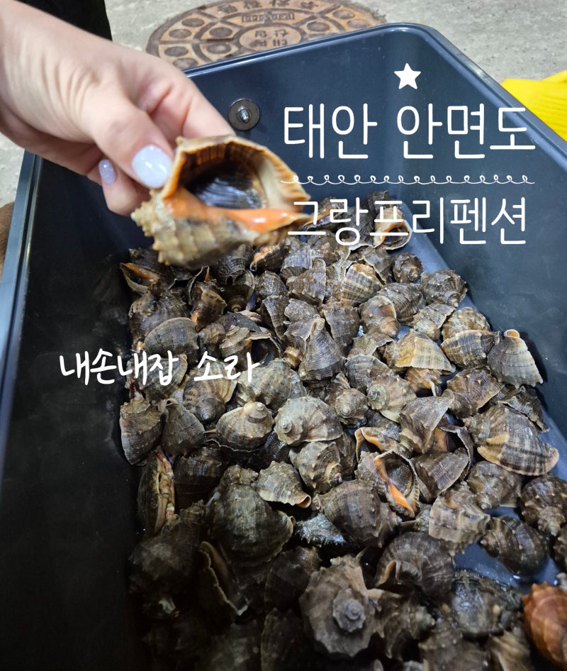 [태안 안면도]해루질펜션 그랑프리펜션! 소라 잡고 꽃게 바베큐 먹방
