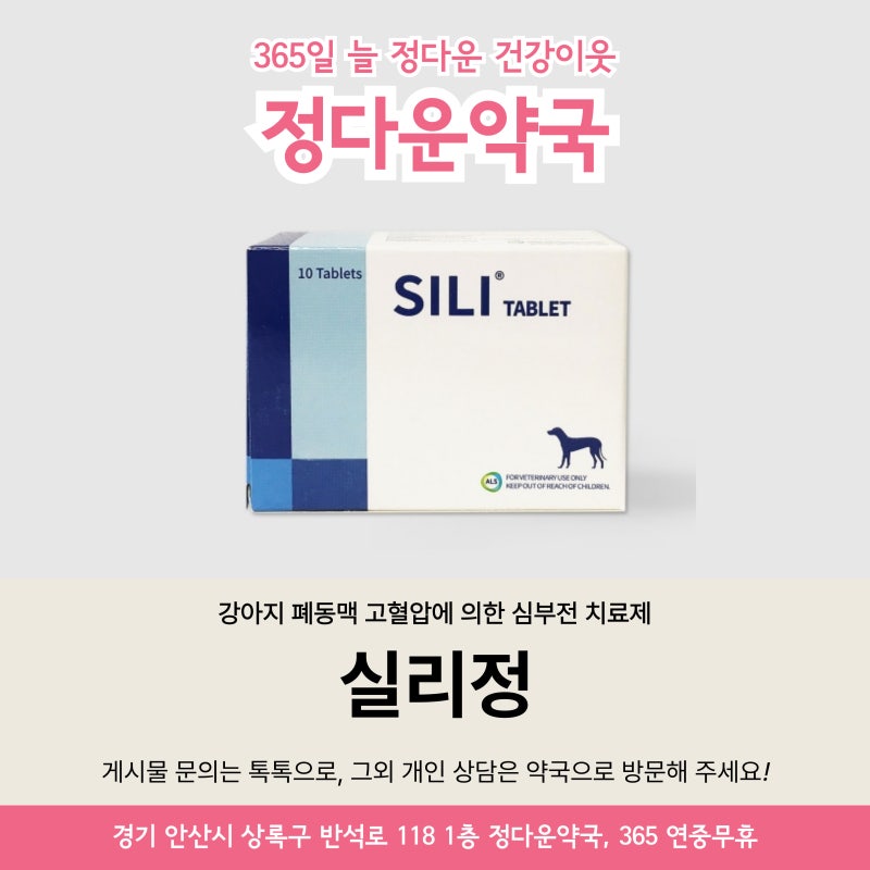 안산 강아지 심부전 치료제 실리정, 실데나필 효과 & 가격 알아보기