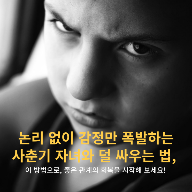 논리 없이 감정만 폭발하는 사춘기 자녀와 덜 싸우는 법, 이렇게 해보세요.