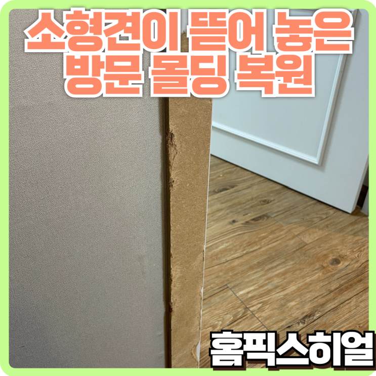  애완견이 뜯은 안방문몰딩 복원작업, 고민 해결 방법은?