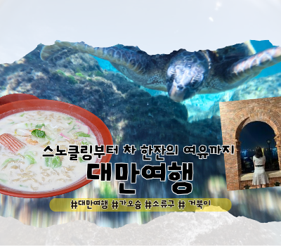  [가오슝 여행] 소류구 페리 / 대중부잠 거북이 스노클링 준비물 / 소류구 현지인 맛집 / 다거우 영국영사관 / 숙박지원금 훠궈