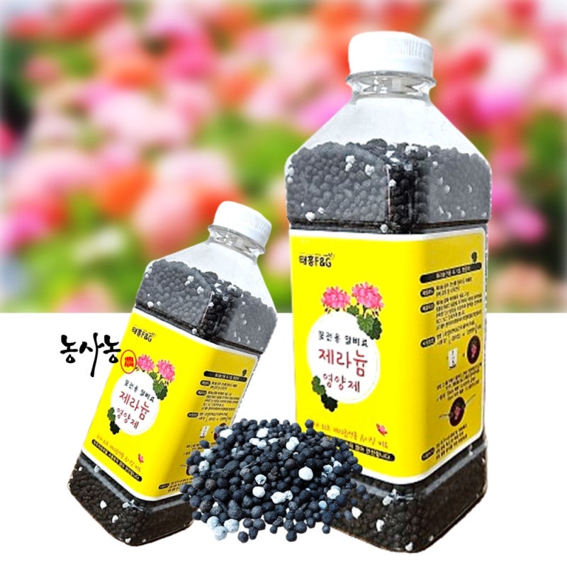 꽃 화분 야생화 제라늄 영양제 제라니움 비료 주는시기 방법