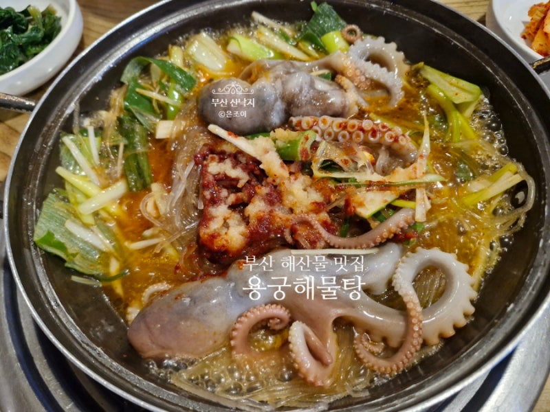 부산 아구찜 맛집 서면 용궁해물탕 산낙지볶음