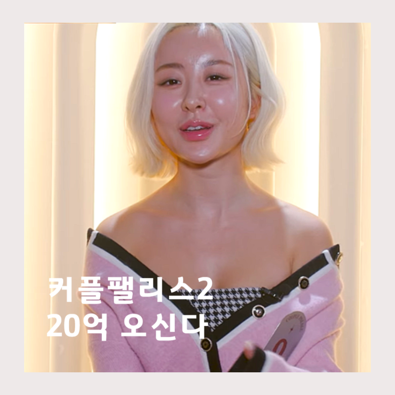 커플팰리스2 20억 오신다 선택은? 치과의사 11번 김지웅 27번 최영준 변리사 변호사 26번 이정....