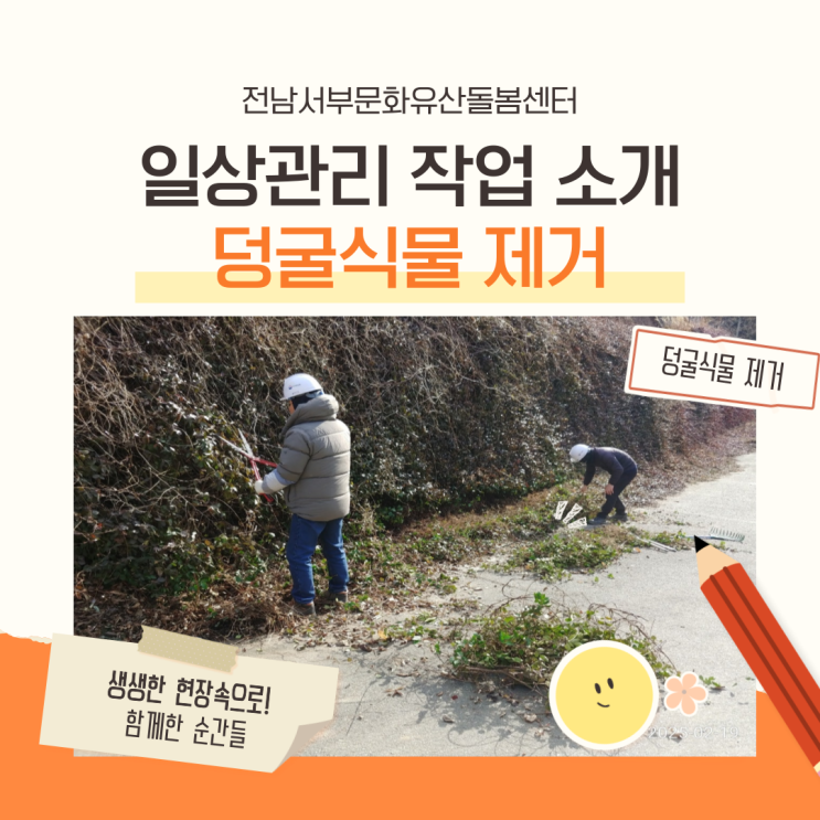  일상관리: 덩굴식물제거