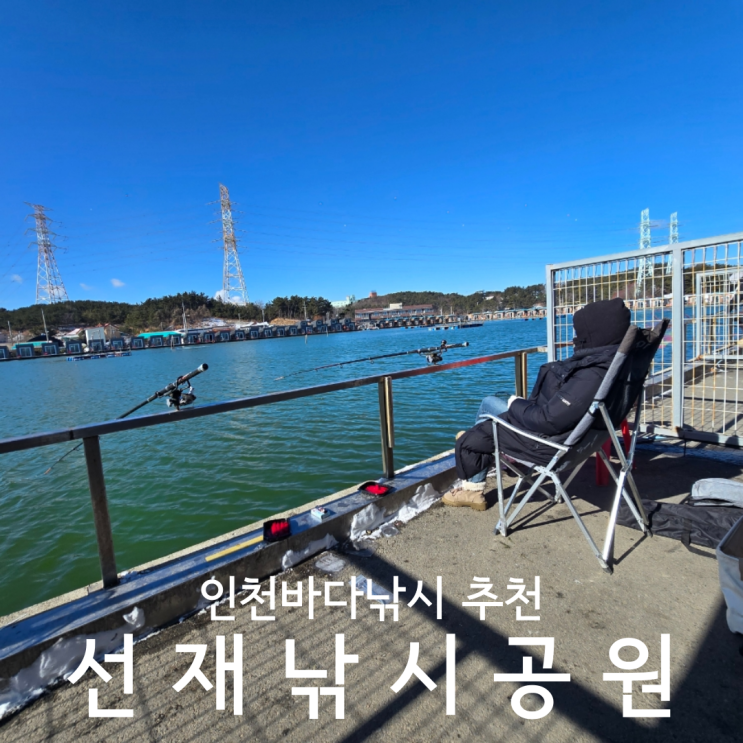  인천바다낚시 이색데이트 추천 선재낚시공원 방갈로 애견동반 후기