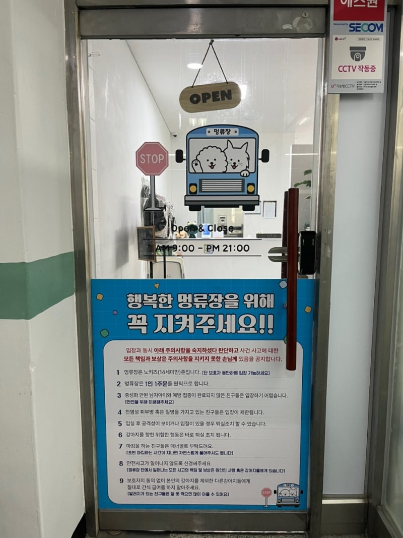 사진 4