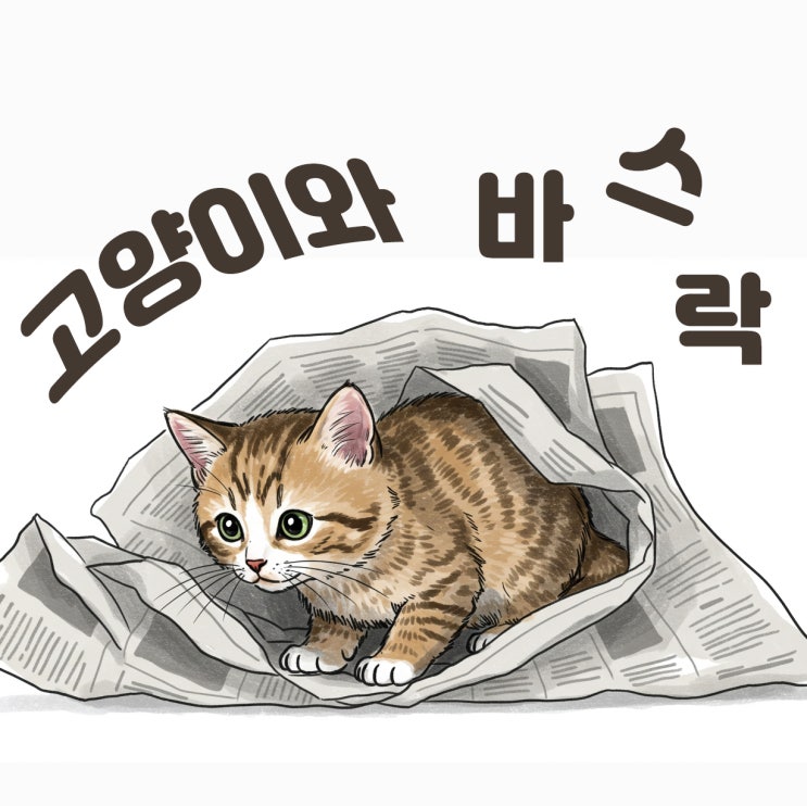  고양이가 비닐과 종이를 좋아하는 이유