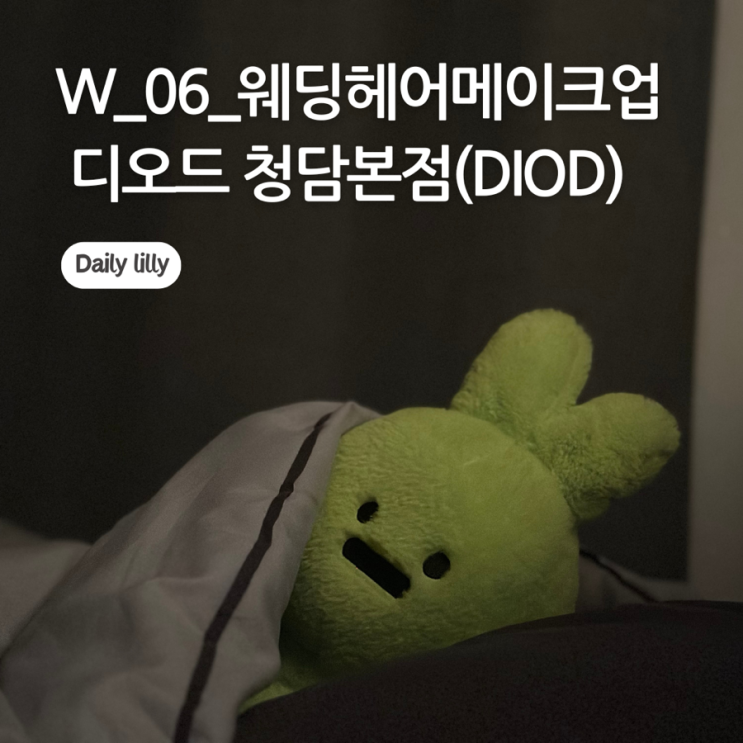  W_06_드레스 투어 가기전 웨딩 헤메 데모받으러간 디오드청담본점