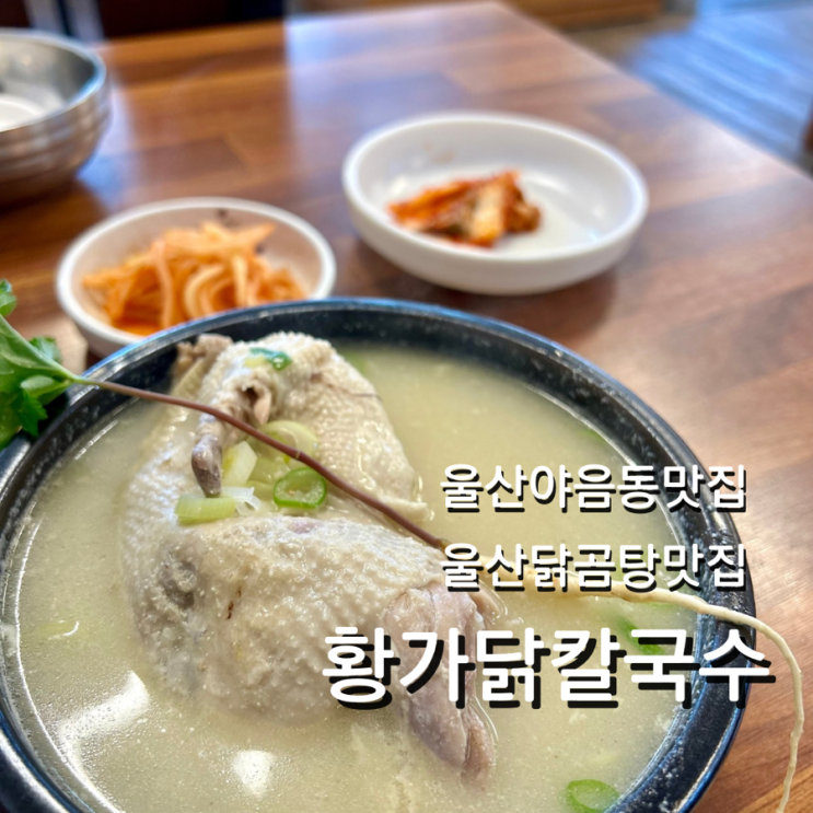  울산 야음동 밥집 황가닭칼국수 보양식 닭곰탕 맛집