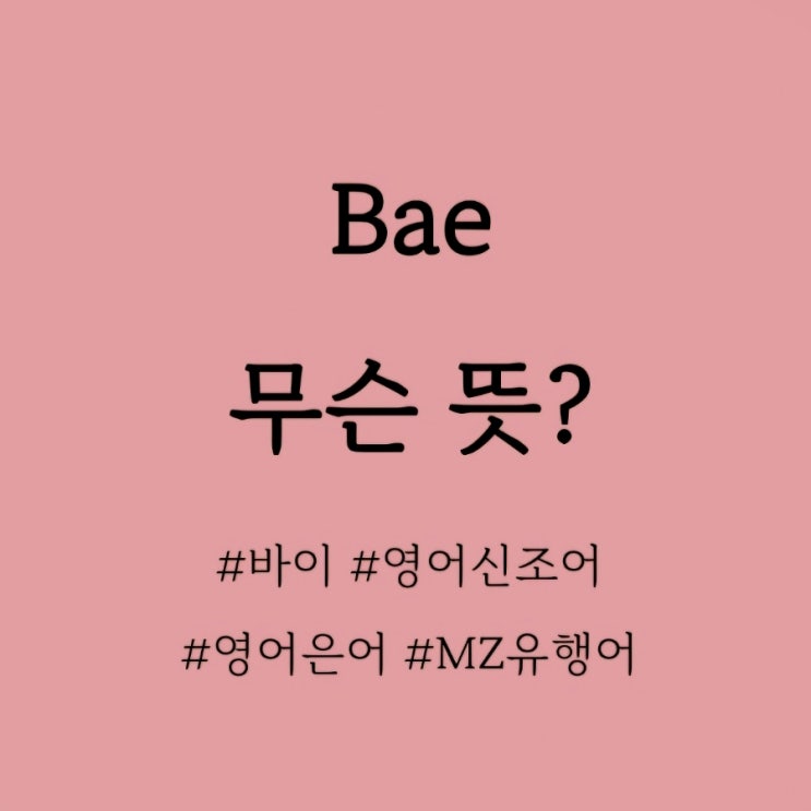  Bae 무슨 뜻 / 영어신조어, MZ세대영어