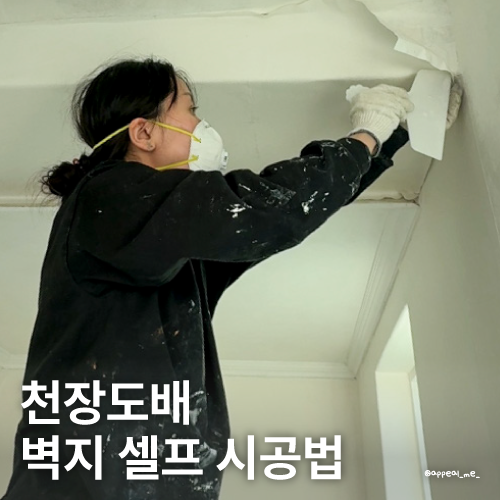  천장벽지 도배비용 방법 셀프도배지 보수