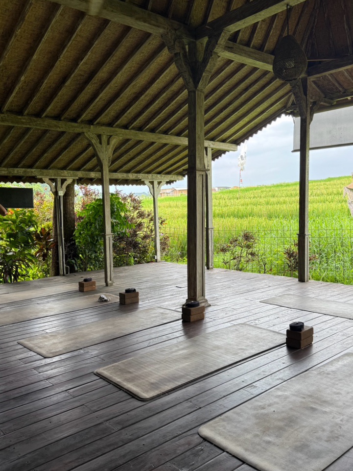  발리 짱구 감성 원데이 요가 클래스 찬드라 요가원 Chandra Yoga Bali