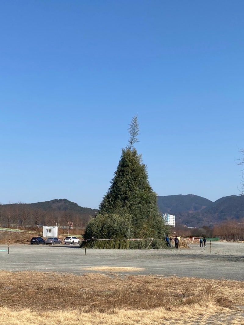 댕댕하동