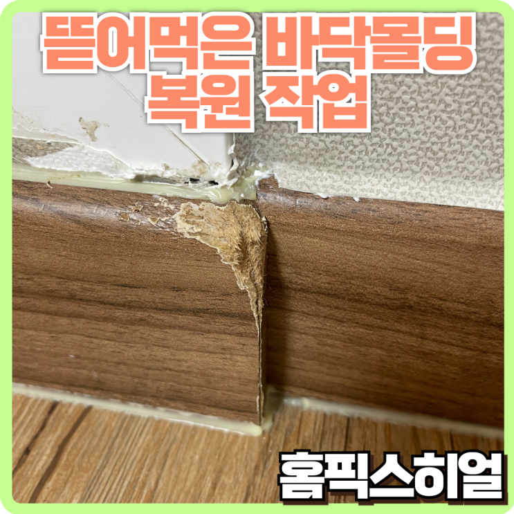  바닥몰딩 손상 복원작업 이사 전 필수 복구 과정