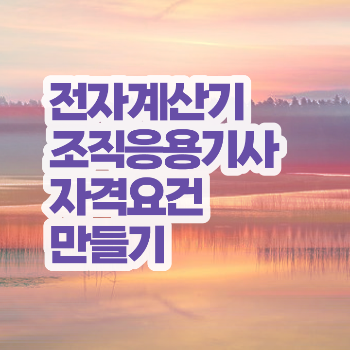  전자계산기조직응용기사 자격요건 독학으로 간편하게 끝낸 비법