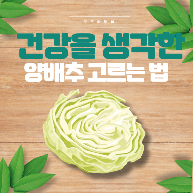  건강을 생각한 양배추 고르는 법 (푸른양배추, 적양배추, 방울양배추, 식이섬유, 안토시아닌, 효능, 효과, 부작용, 농약제거, 보관법)