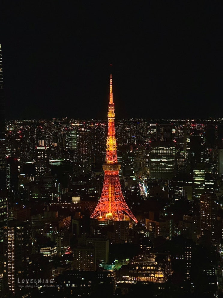  [24.12 Tokyo, Japan] ️설국을 보러 떠난 크리스마스️ 도쿄  3일차 (에치고유자와역, 롯폰기힐즈전망대-도쿄타워야경, 아사쿠사)