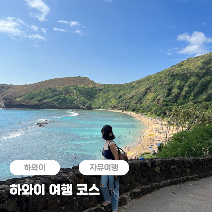  하와이 자유여행 신혼여행 코스 (하나우마베이 예약방법) + 비행시간