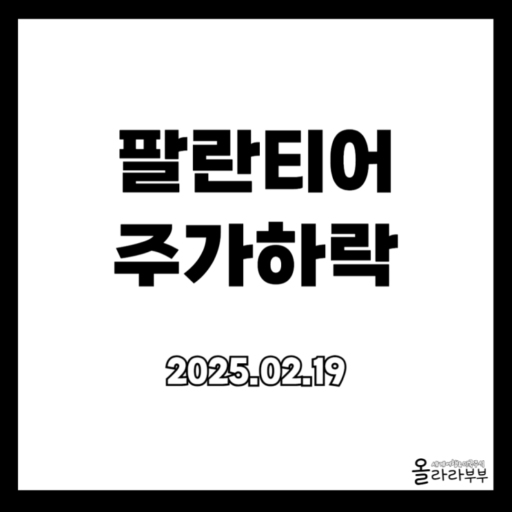  2025년 2월 19일 팔란티어 테크놀로지스 주가 하락 이유