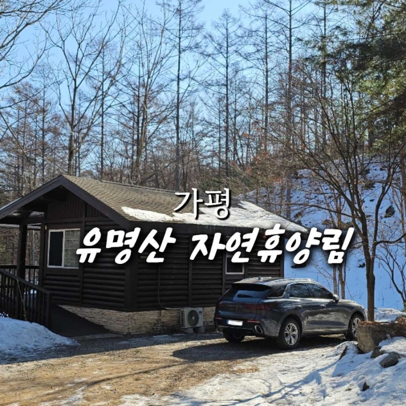 유명산 자연휴양림 숙박 오두막 숙소 산책 바베큐 알아보기