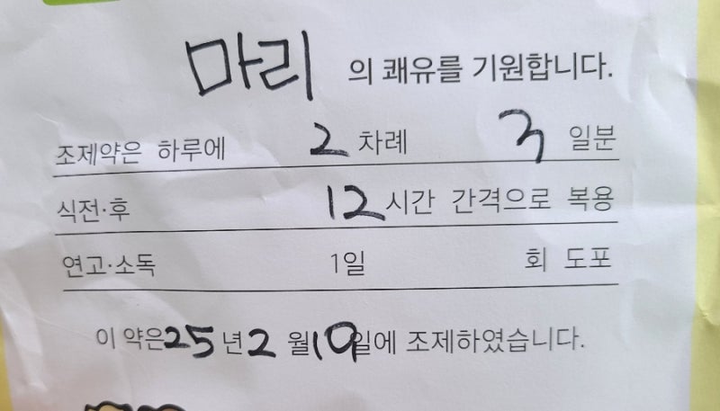 고양이 식욕촉진제 부작용 우리 고양이도...