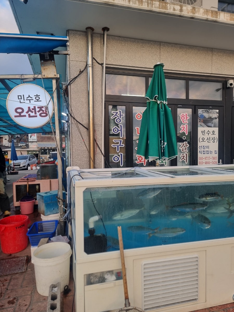 민수호 오선장 사진 4