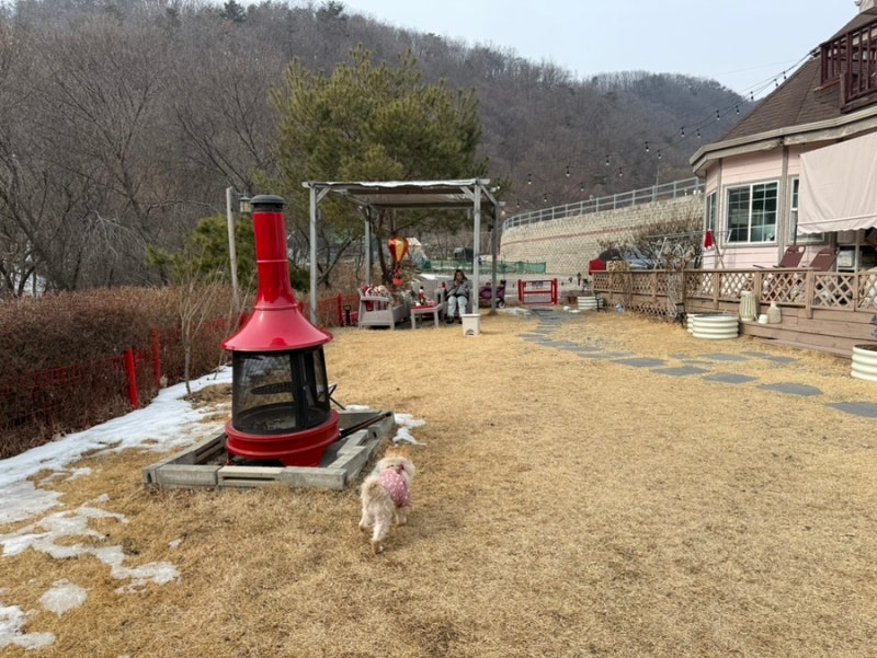 사진 5