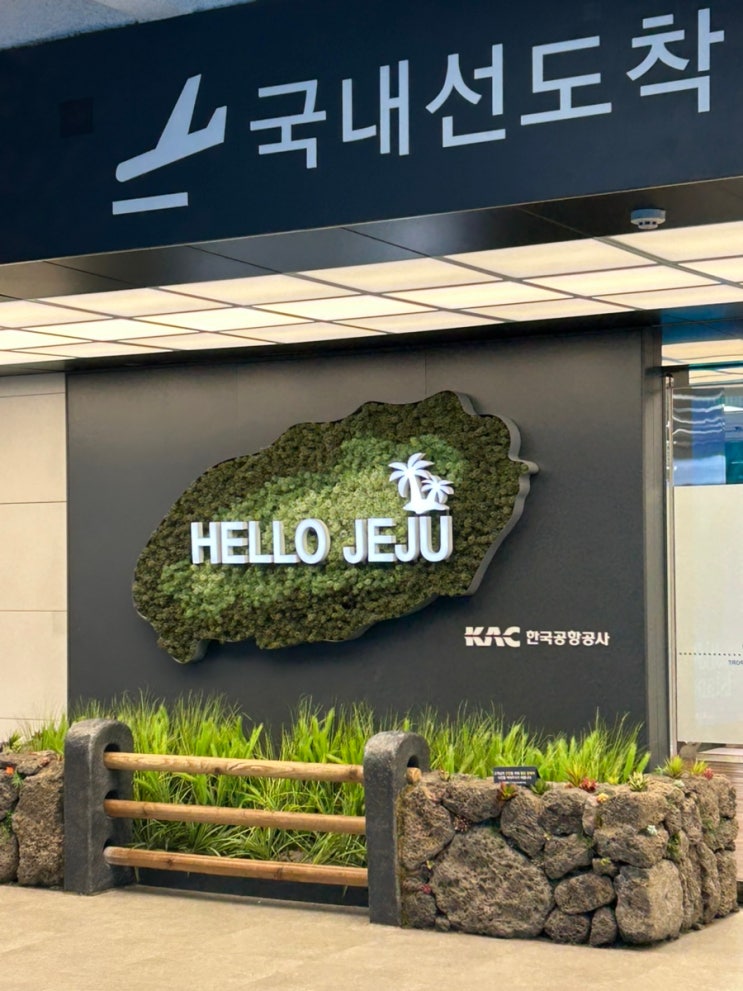  [2025]학교 돈으로 즐기는 제주도