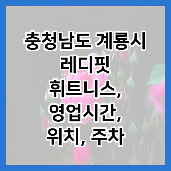 레디핏휘트니스 사진 1